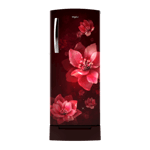 Whirlpool 207 L Direct Cool Single Door 3 Star Refrigerator 230 IMPRO Roy Wine Mulia front view