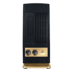 yarr mini kitchen fan black gold Front side view