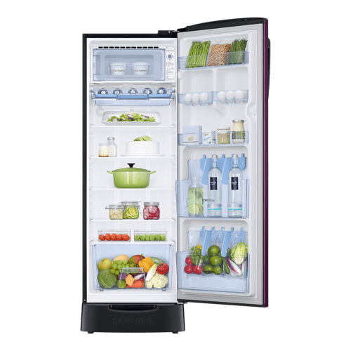 Buy Samsung 246L Single Door Refrigerator (CamelliaPurple)