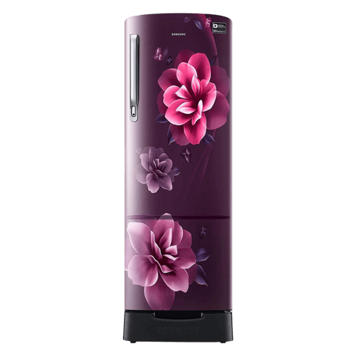 Samsung 255 L Single Door 3 Star Refrigerator RR26A389YCR/HL