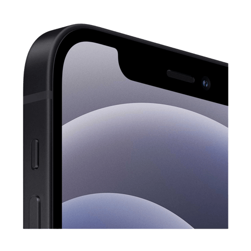 Buy Apple iPhone 12 (Black, 256GB ) Online at best price
