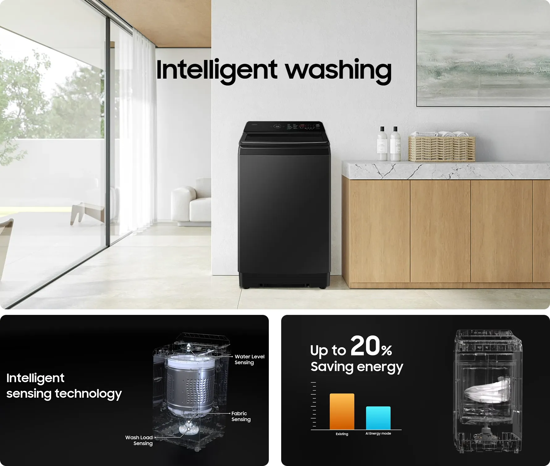intelligent-wash-web