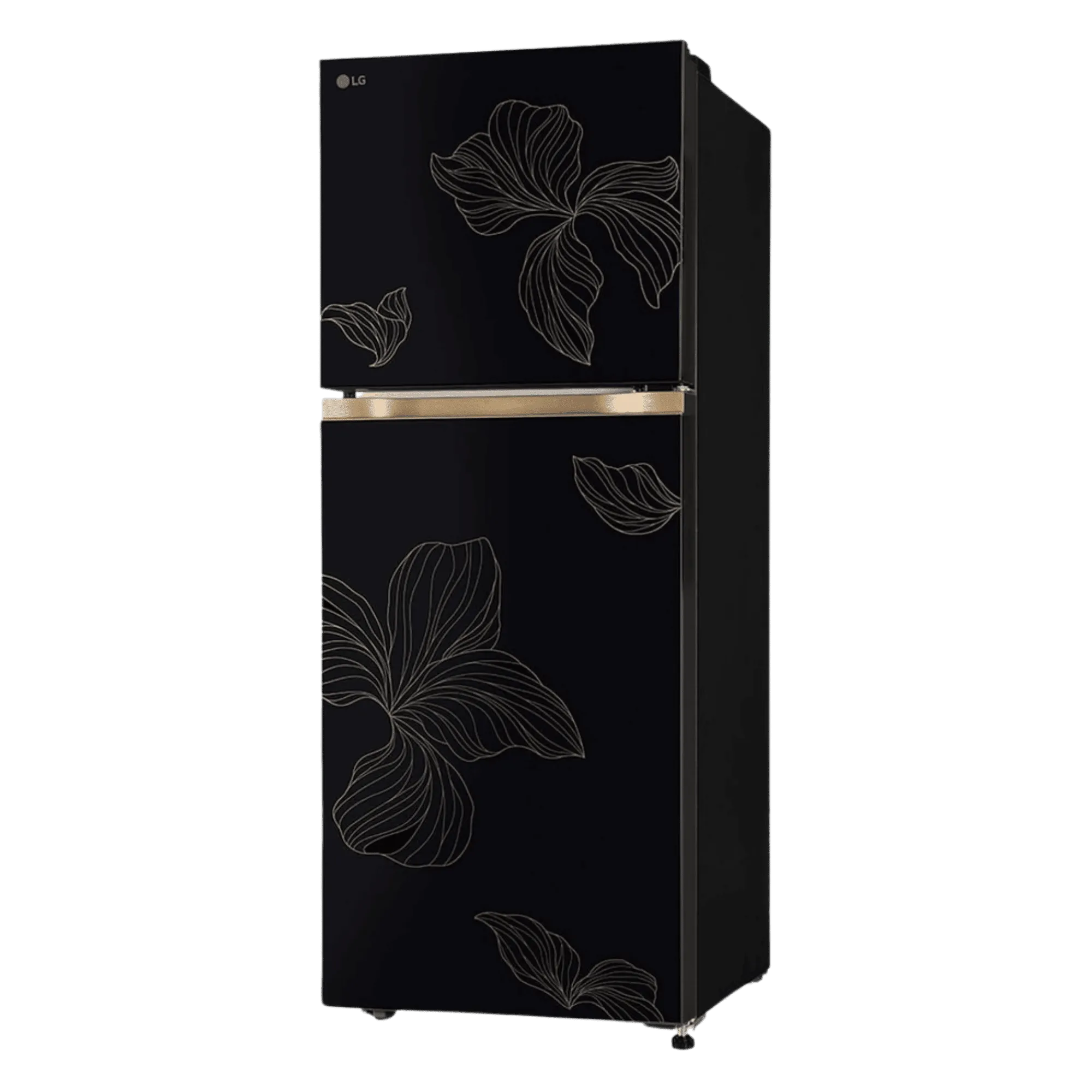 Grab LG 225 L Frost Free Double Door 2 Star Refrigerator!