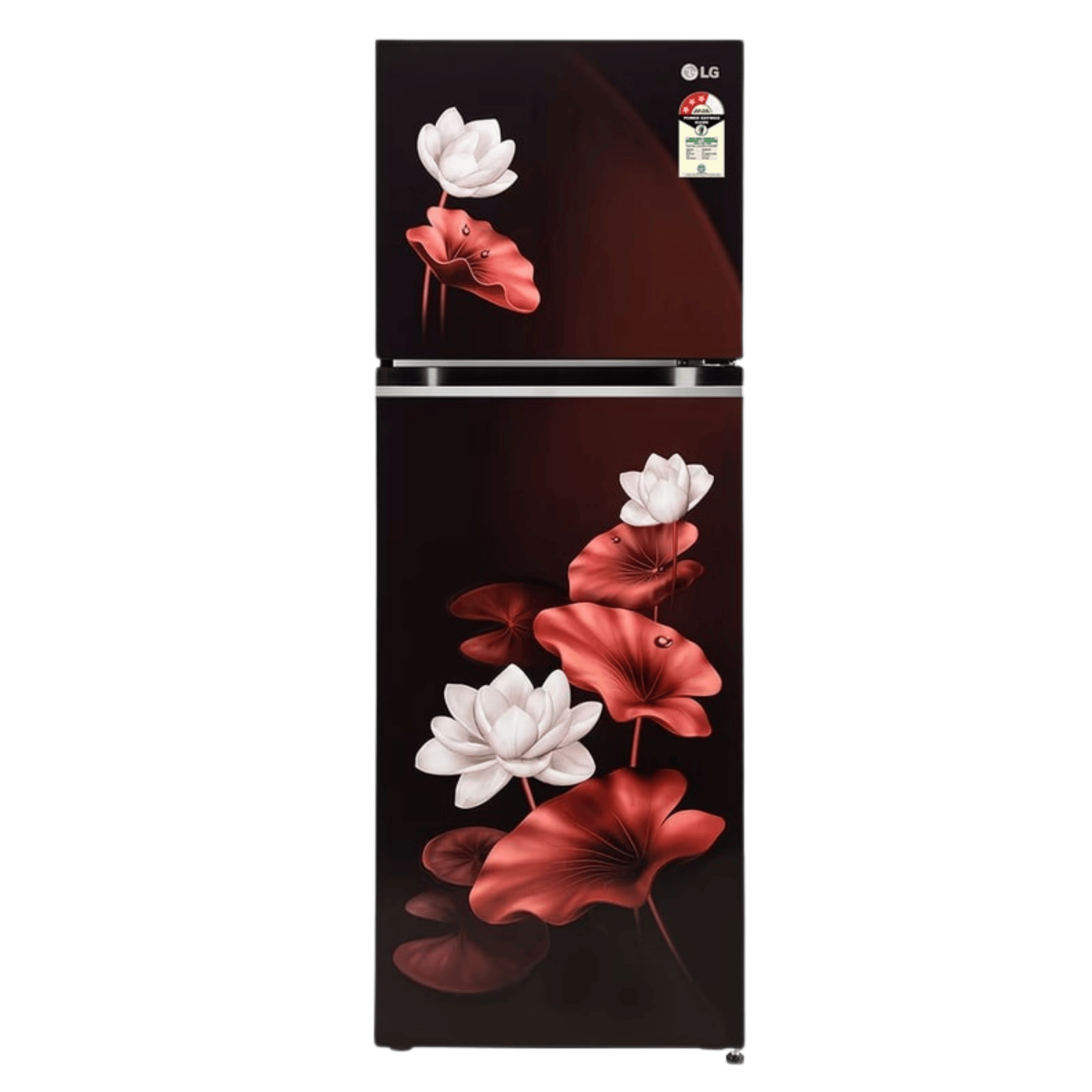 Shop LG 242 L Frost Free Double Door 2 Star Refrigerator!