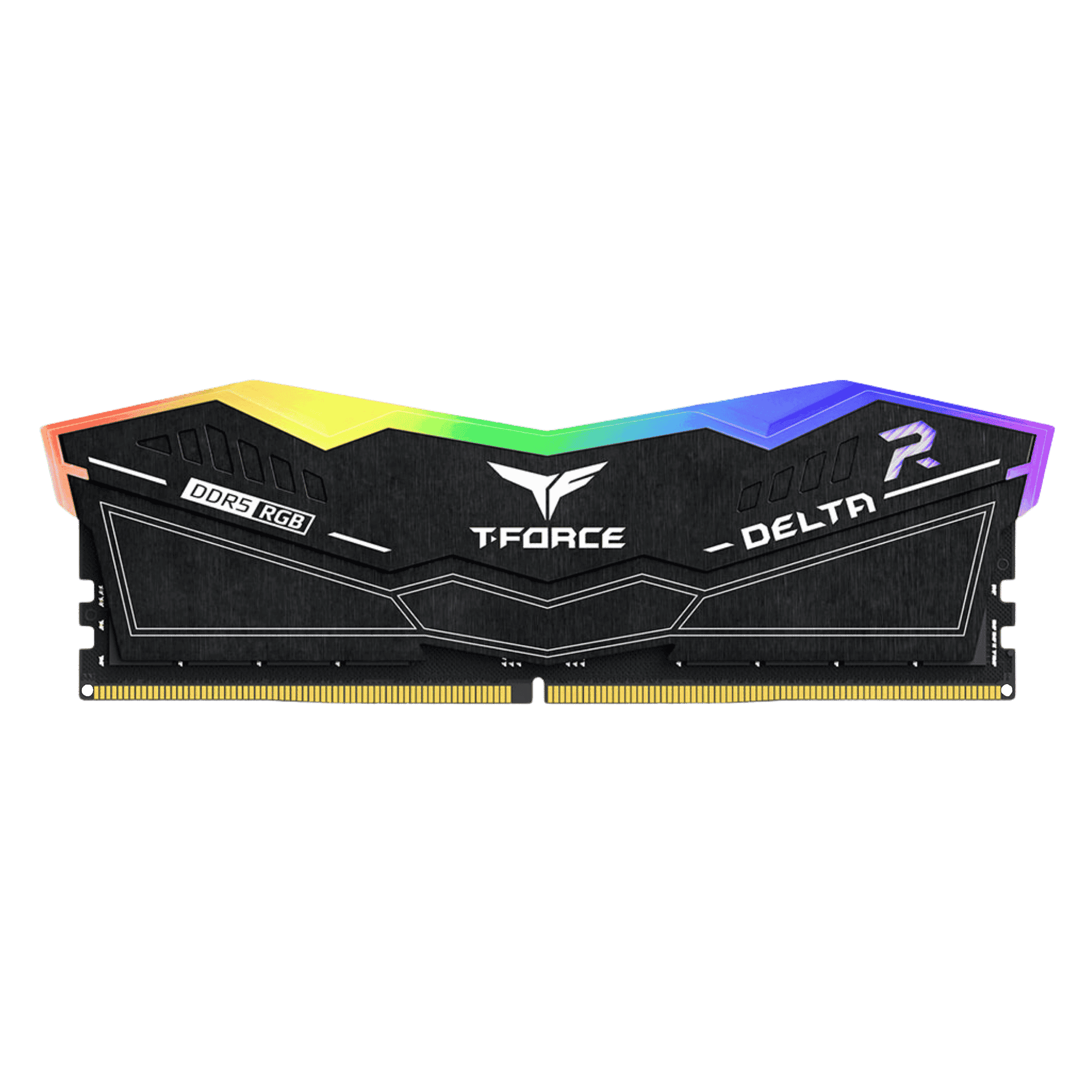 T-Force UDIMM Single DDR5 6000Mhz Ram Memory (16GB, Black)