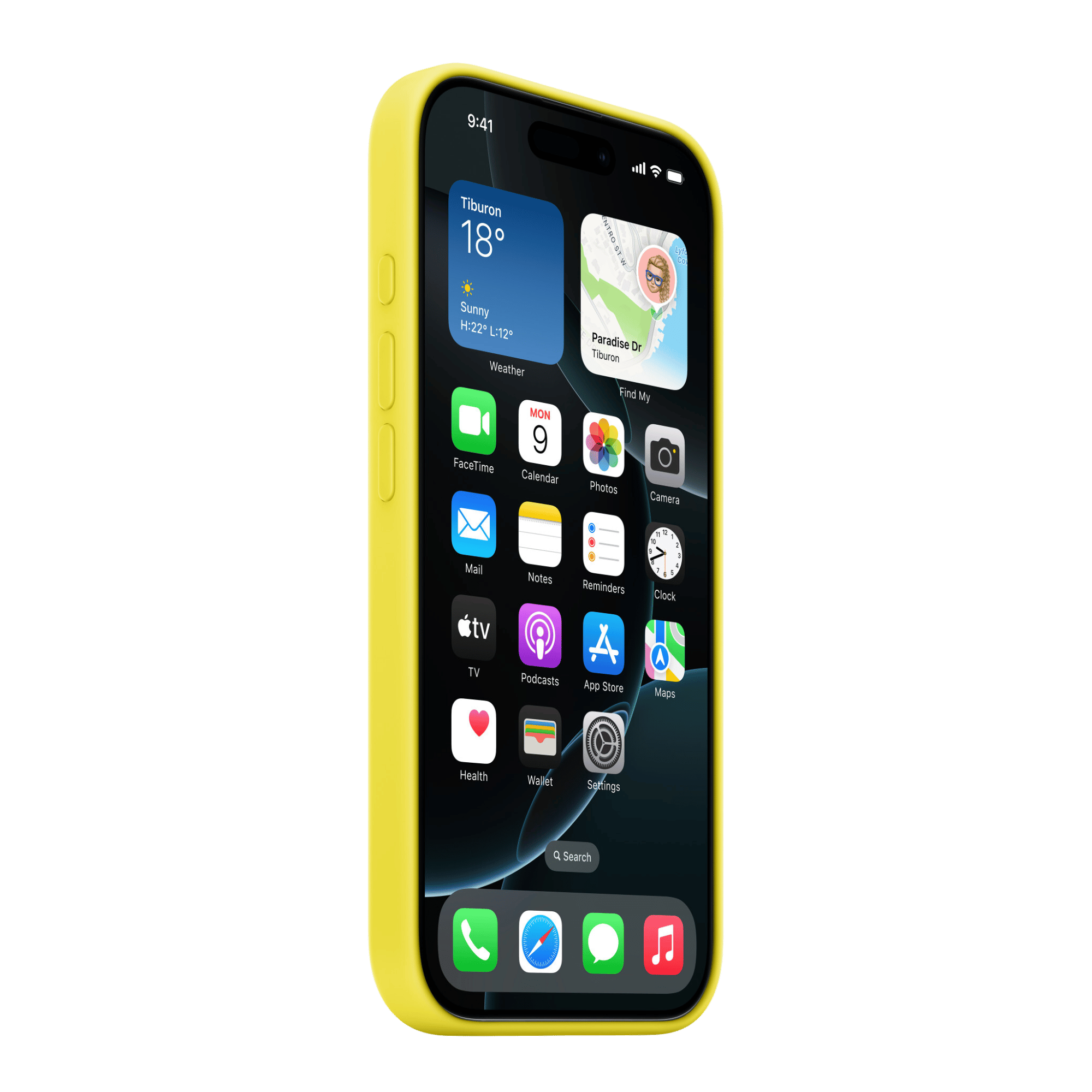 Apple iPhone 16 Pro Silicone Case With MagSafe Star Fruit